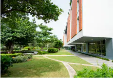 Green campus pathway beside a building