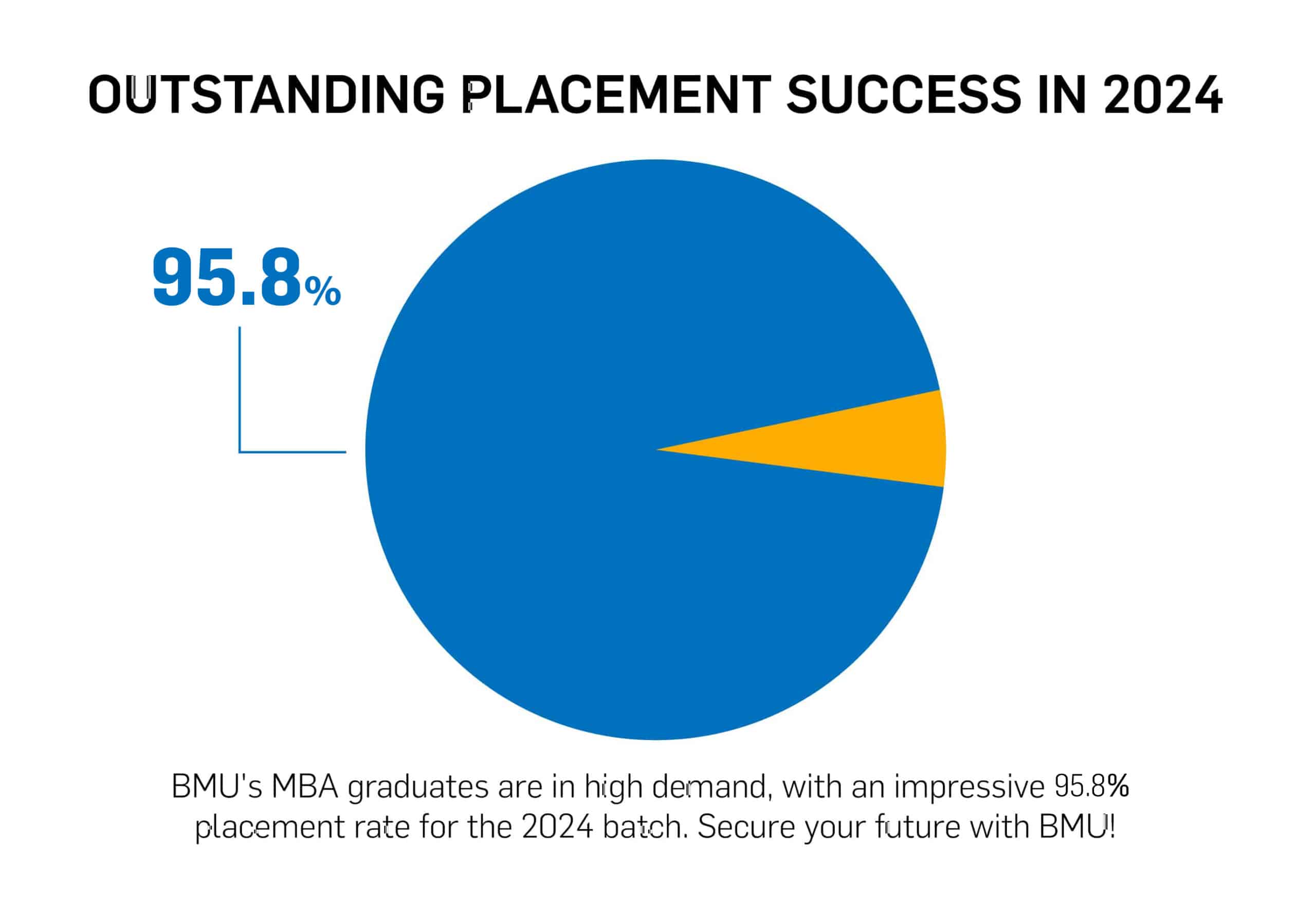 OUTSTANDING PLACEMENT SUCCESS IN 2024