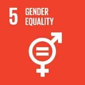 gender equality 
