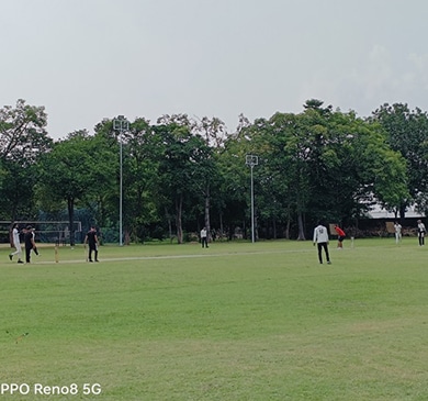 Cricket