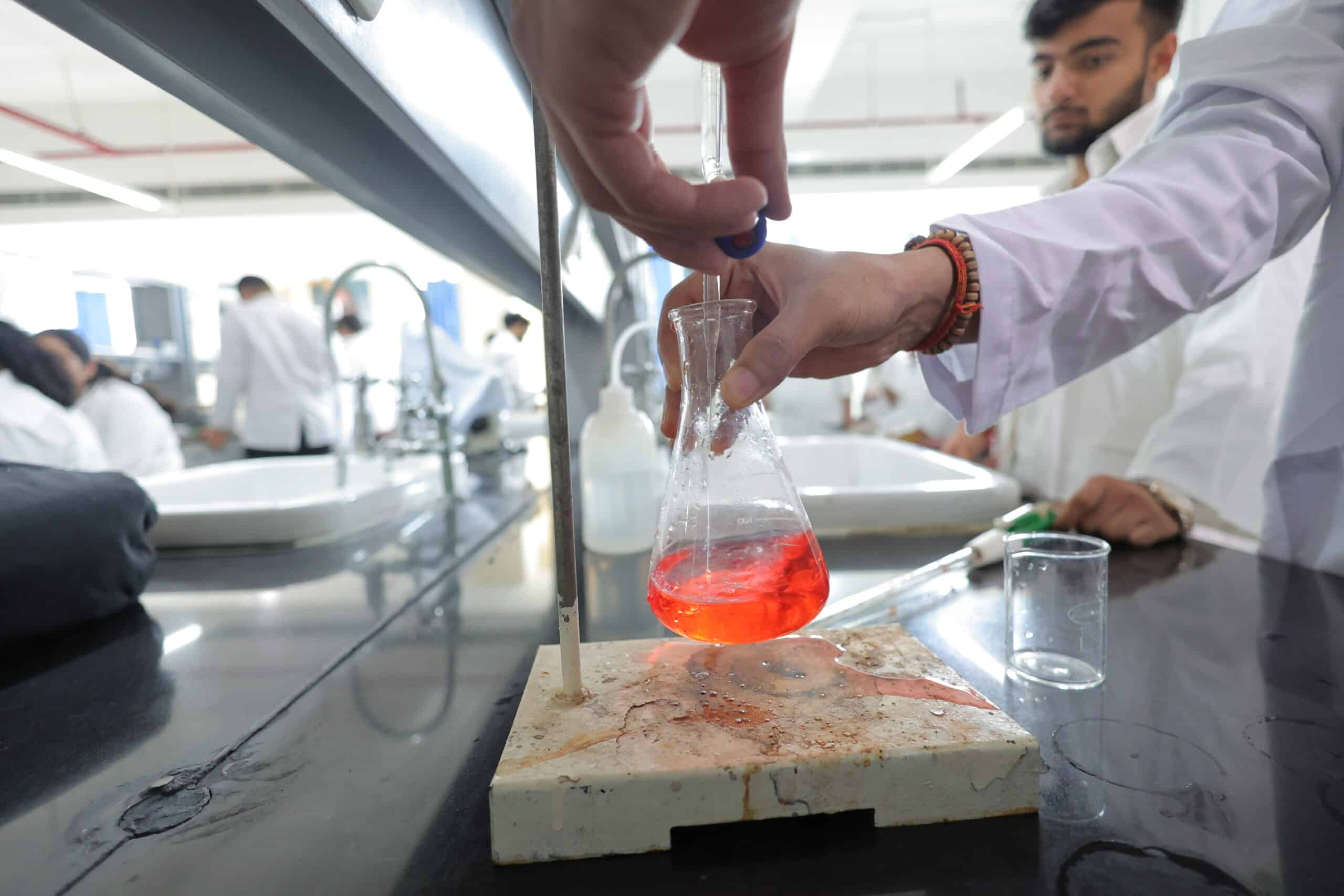 lab