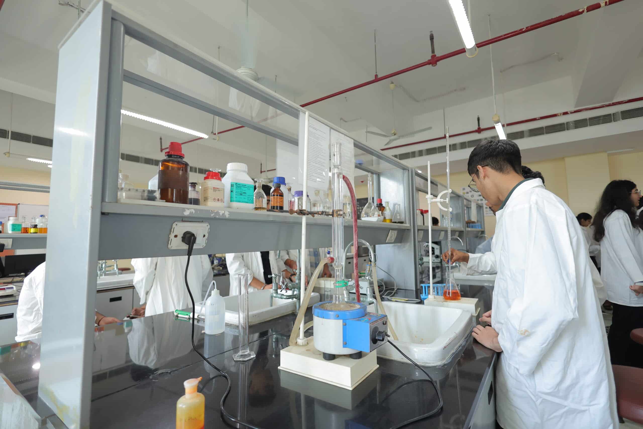 lab