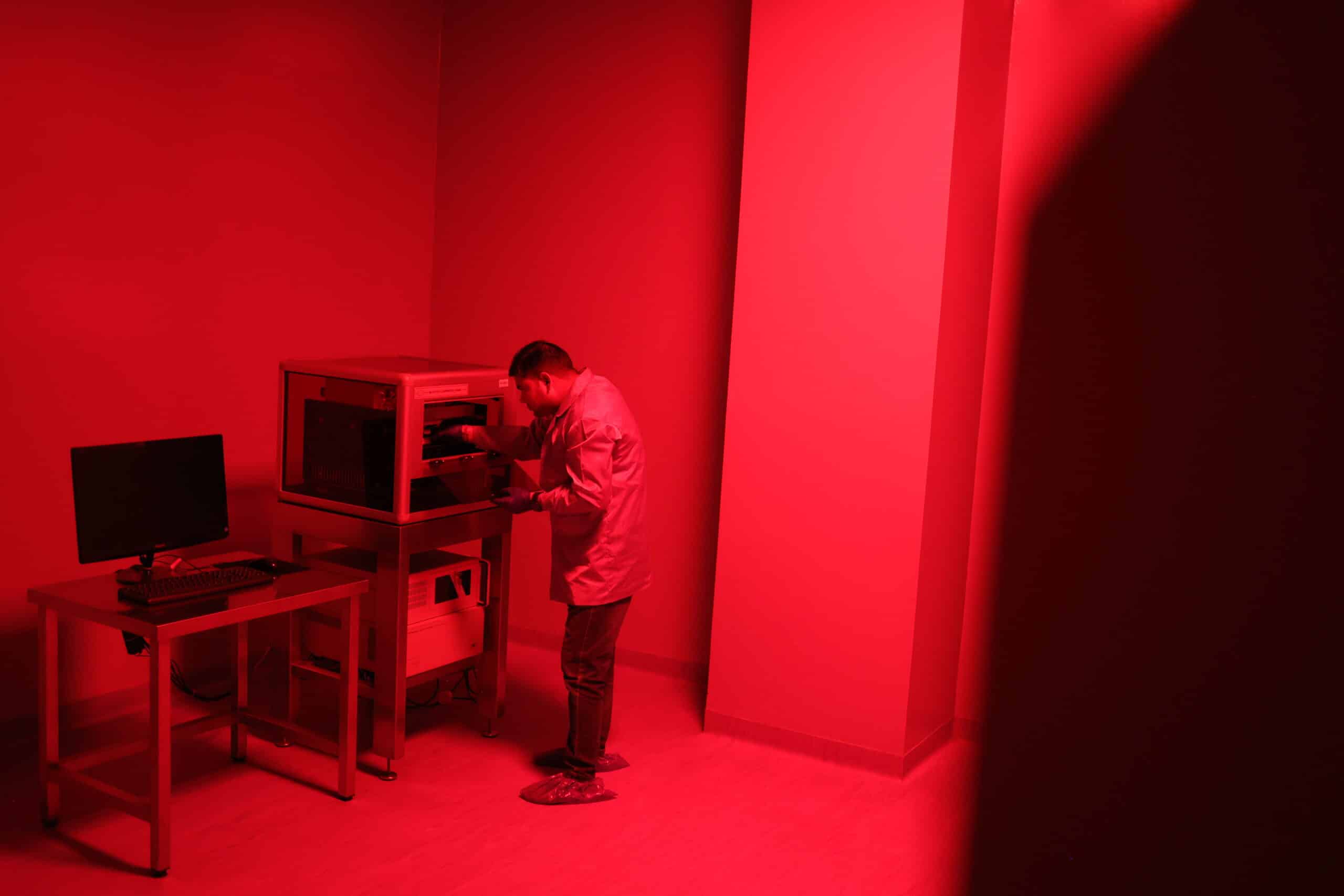 lab